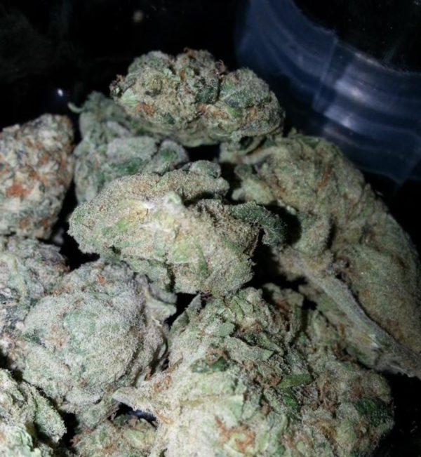 Buy White Widow strain online