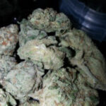 Buy White Widow strain online