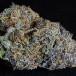 Buy granddaddy purple strain online