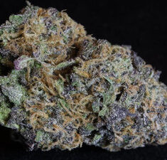 Buy granddaddy purple strain online