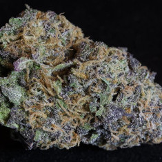 Buy granddaddy purple strain online