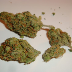Buy Super Lemon haze online