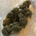 Buy Super Silver Haze online