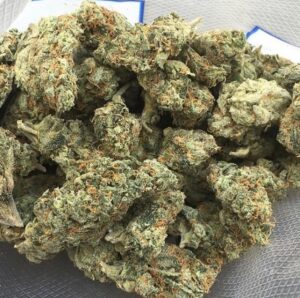 Buy Ghost OG strain online