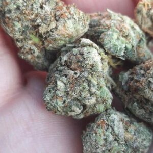 Buy Death Star strain online