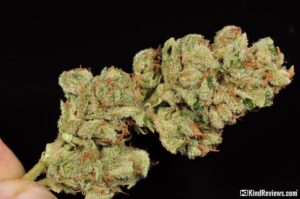 Buy skywalker og online