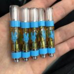 Buy Honey-Vape Blackberry-Kush Disposable Vape-Pen online