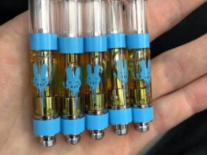Buy Honey-Vape Blackberry-Kush Disposable Vape-Pen online