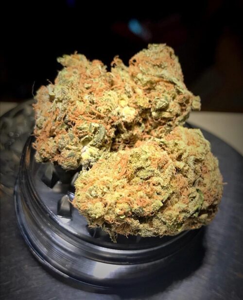 Buy Black domina strain online