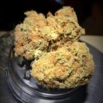 Buy Black domina strain online