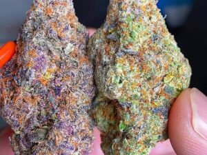 Buy Fruity pebbles weed online