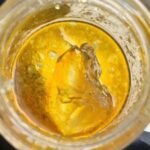 Buy Girls scout cookies wax