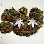 Buy Black Diamond weed online | Black diamond weed for sales