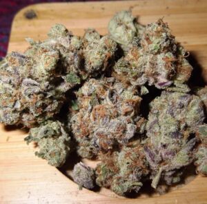 Buy Gelonade strain online