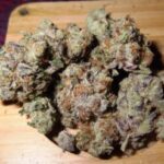Buy Gelonade strain online