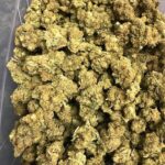 Buy angel-cake strain Online