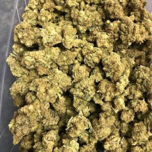 Buy angel-cake strain Online
