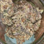 Buy Acai-Berry Gelato online