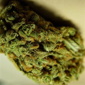Buy Amnesia Haze Online