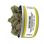 Buy Sherbtane strain online