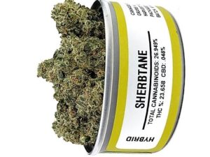 Buy Sherbtane strain online