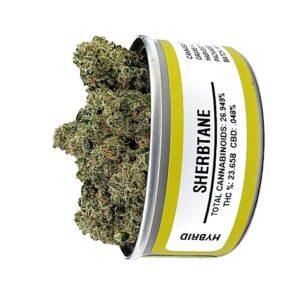 Buy Sherbtane strain online