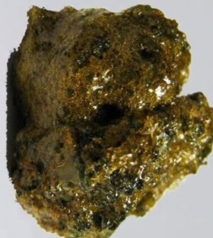 Buy Sunrocks strain online